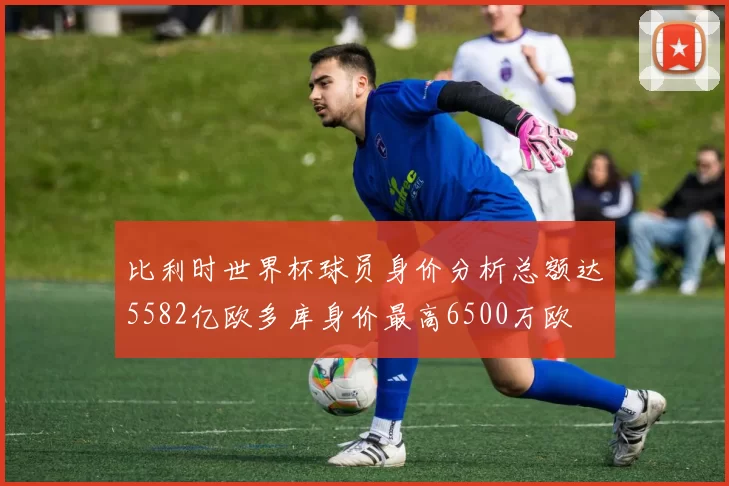 比利时世界杯球员身价分析总额达5582亿欧多库身价最高6500万欧
