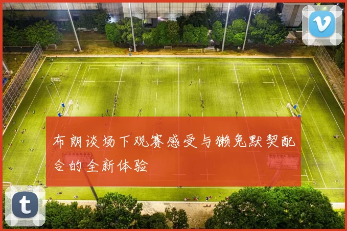 布朗谈场下观赛感受与獭兔默契配合的全新体验
